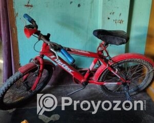 fitted-10_2025-11-26_11-22-57