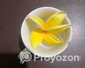 fitted-10_2025-11-29_10-36-48