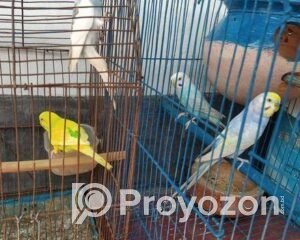 fitted-11_2025-11-24_10-13-17