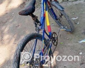 fitted-11_2025-11-26_11-23-34