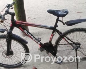 fitted-12_2025-11-11_09-54-33