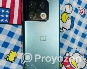 fitted-13_2025-11-06_09-26-19