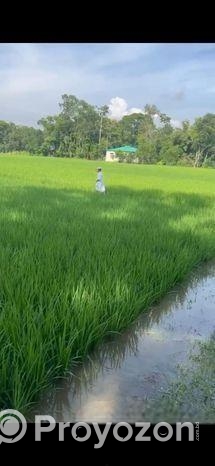 ৪০ শতক নিঃষ্কন্টক ভিটি জমি বিক্রি হবে