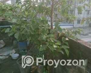 fitted-13_2025-11-23_09-51-15