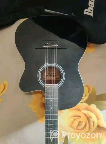 গিটার বিক্রি করা হবে