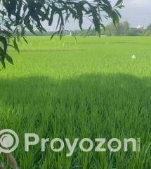 fitted-14_2025-11-09_09-44-14