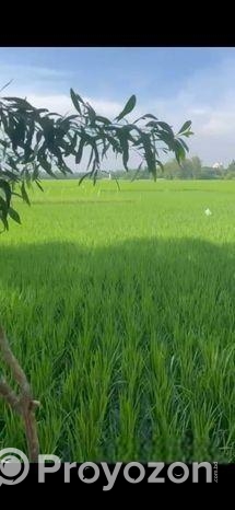 ৪০ শতক নিঃষ্কন্টক ভিটি জমি বিক্রি হবে