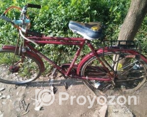 fitted-17_2025-11-09_09-47-35