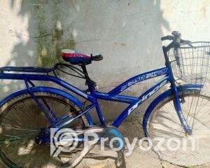 fitted-17_2025-11-11_09-47-49