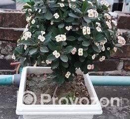 fitted-17_2025-11-30_17-48-54