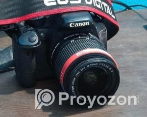 fitted-18_2025-11-06_09-53-25