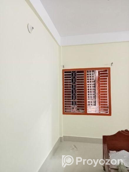 রংয়ের কাজ