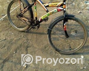 fitted-18_2025-11-24_10-24-37