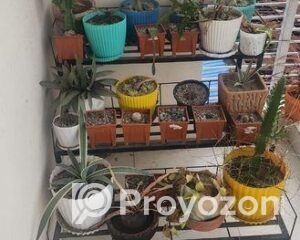 fitted-19_2025-11-02_10-14-07