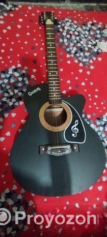 Used Guitar