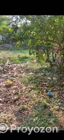 Land Sale Natullabad Barishal