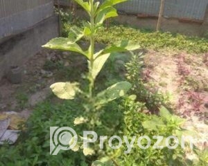 fitted-2025-11-01T120147.427_2025-11-01_12-03-42