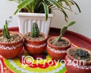 fitted-2025-11-01T121055.074_2025-11-01_12-11-52