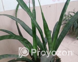 fitted-2025-11-01T121908.339_2025-11-01_12-20-07