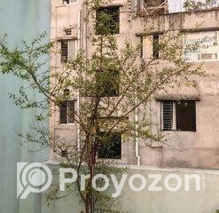 fitted-2025-11-01T122403.012_2025-11-01_12-24-45