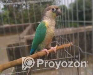 fitted-2025-11-02T113842.259_2025-11-02_11-39-23