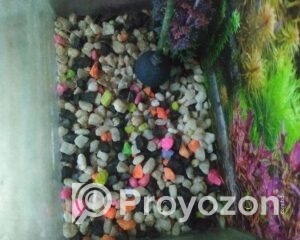 fitted-2025-11-03T112832.325_2025-11-03_11-29-38