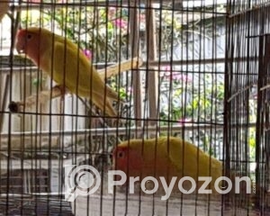 fitted-2025-11-03T115835.676_2025-11-03_11-59-43