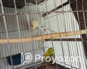 fitted-2025-11-04T115242.536_2025-11-04_11-53-36