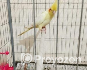 fitted-2025-11-05T095254.025_2025-11-05_09-53-53