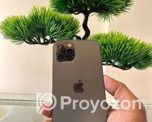 fitted-2025-11-05T101812.788_2025-11-05_10-19-13