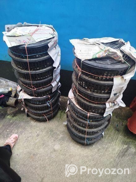 কোয়েল পাখির বাচ্চা বিক্রি ।