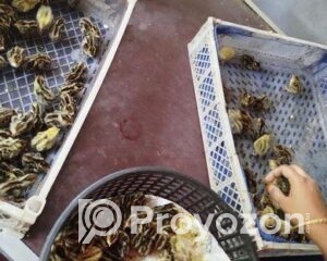 fitted-2025-11-05T112946.713_2025-11-05_11-31-06