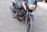 Bajaj Pulsar 150 2024-2025 abs 2025