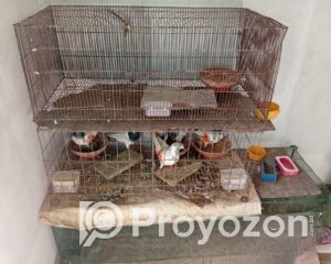 fitted-2025-11-05T121654.018_2025-11-05_12-18-10