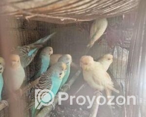 fitted-2025-11-05T222512.981_2025-11-05_22-25-51