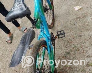 fitted-2025-11-05T223737.806_2025-11-05_22-38-31