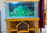 3 Feet Aquarium