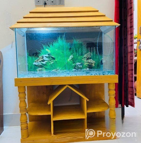 3 Feet Aquarium