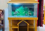 3 Feet Aquarium