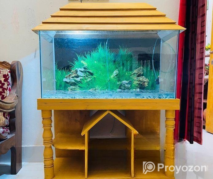 3 Feet Aquarium