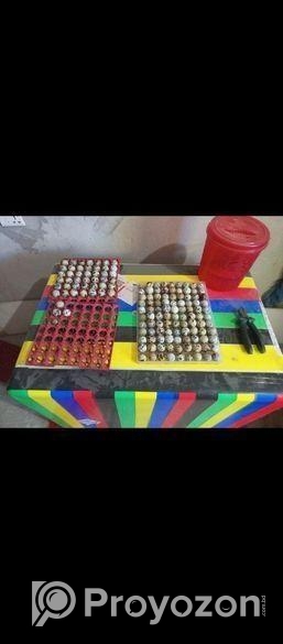 জাপানি কোয়েল পাখির ডিম বিক্রি হবে