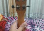 Ukulele Guiter