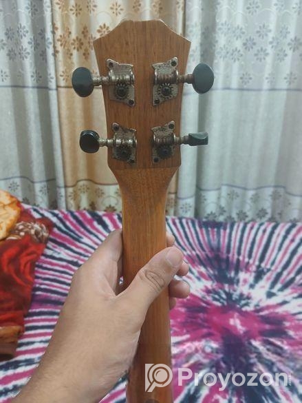 Ukulele Guiter