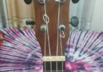 Ukulele Guiter