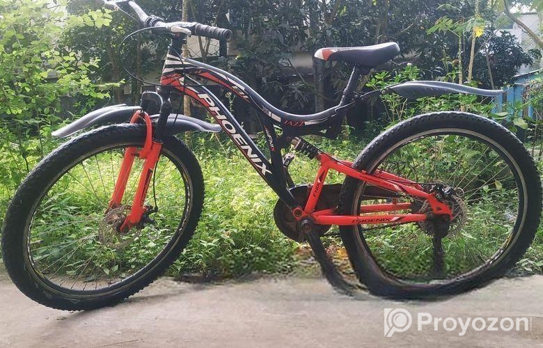 Phoenix Cycle ( Non-gear )