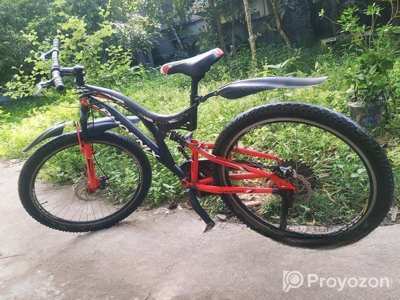 Phoenix Cycle ( Non-gear )