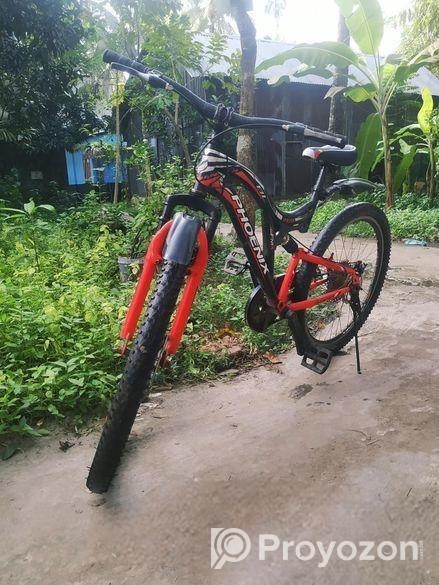 Phoenix Cycle ( Non-gear )