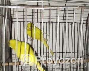 fitted-2025-11-06T112359.528_2025-11-06_11-27-05