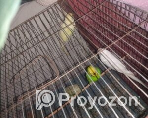 fitted-2025-11-17T111255.220_2025-11-17_11-14-28