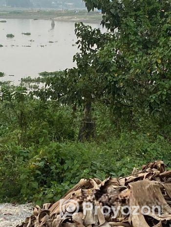 মিরপুর ১বিঘা জমি বিক্রয়। বেড়িবাঁধ ৩০০ ফুট রাস্তার সাথে